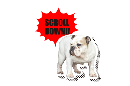 scrolldown!